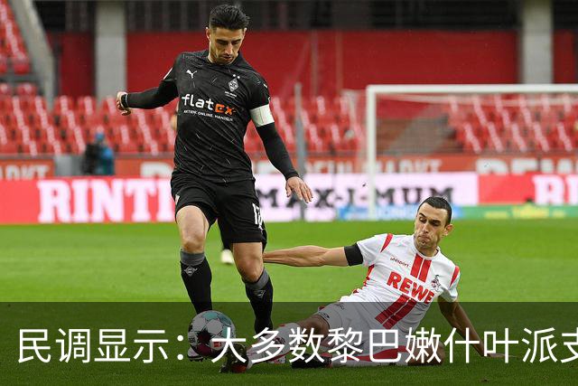民调显示：大多数黎巴嫩什叶派支持解除真主党的武装，正在放弃真主党