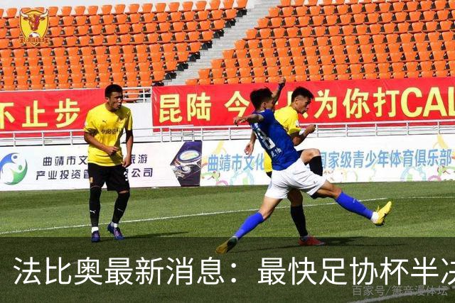 法比奥最新消息：最快足协杯半决赛回归，大概率拿到国安续约合同