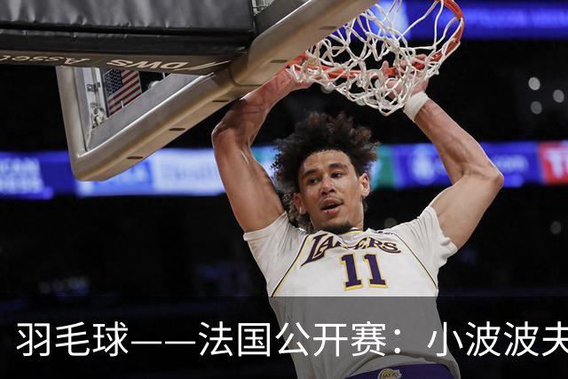 羽毛球——法国公开赛：小波波夫男单夺冠
