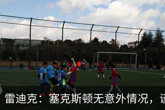 雷迪克：塞克斯顿无意外情况，谨慎起见让他休战