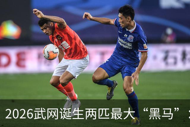 2026武网诞生两匹最大“黑马”：世界排名170的卡塔尔杀进决赛，波兰“月亮姐”击败发小斯瓦泰克晋级，有望夺冠！